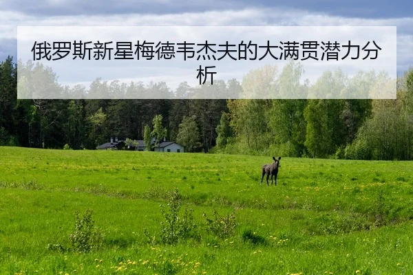 俄罗斯新星梅德韦杰夫的大满贯潜力分析